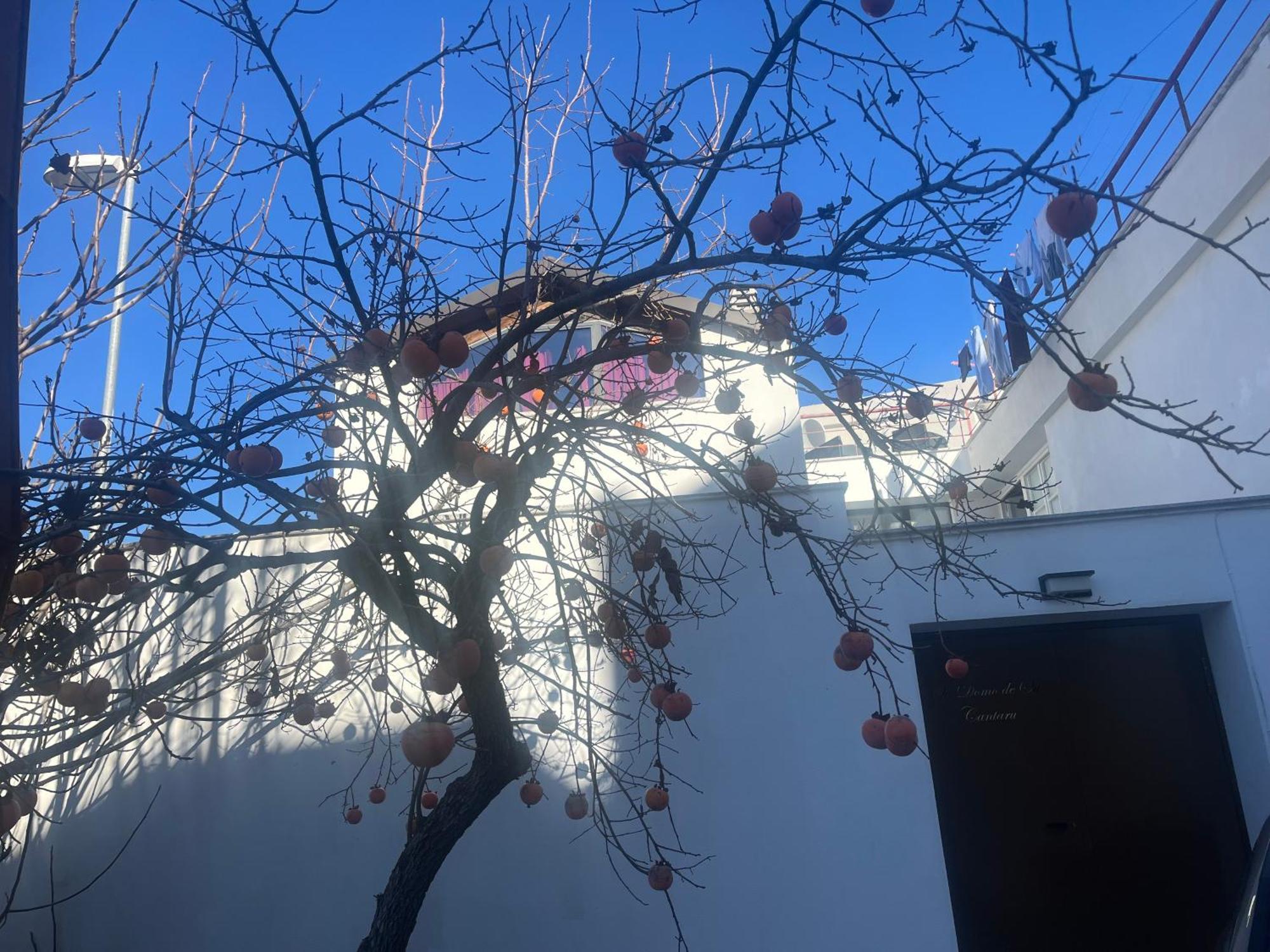 Casa Ziranu Sa Domo E Su Cantaru Orani Zewnętrze zdjęcie